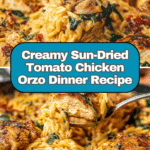Creamy Sun Dried Tomato Chicken Orzo Recipe