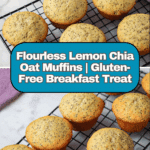 Lemon Chia Oat Muffins Recipe