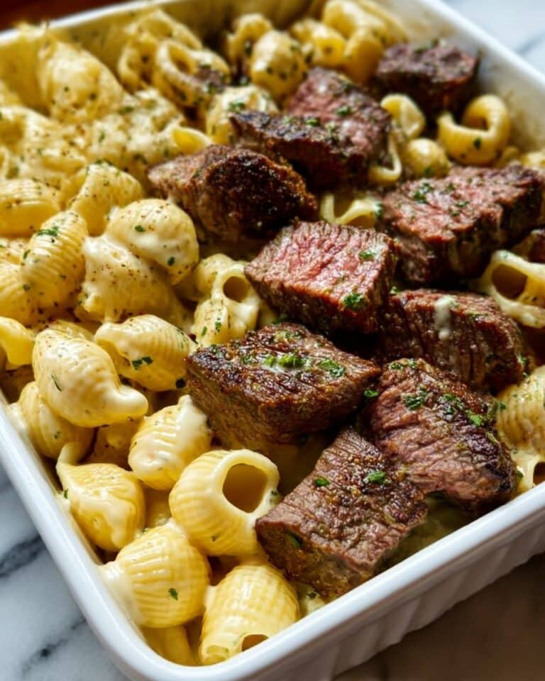 Steak Bites with Shell Pasta in Garlic Butter Alfredo Sauce Recipe